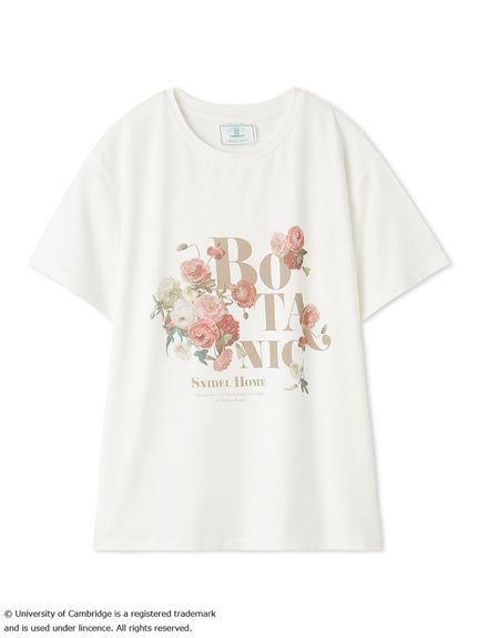 University of Cambridge】Tシャツ(カットソー＆Tシャツ