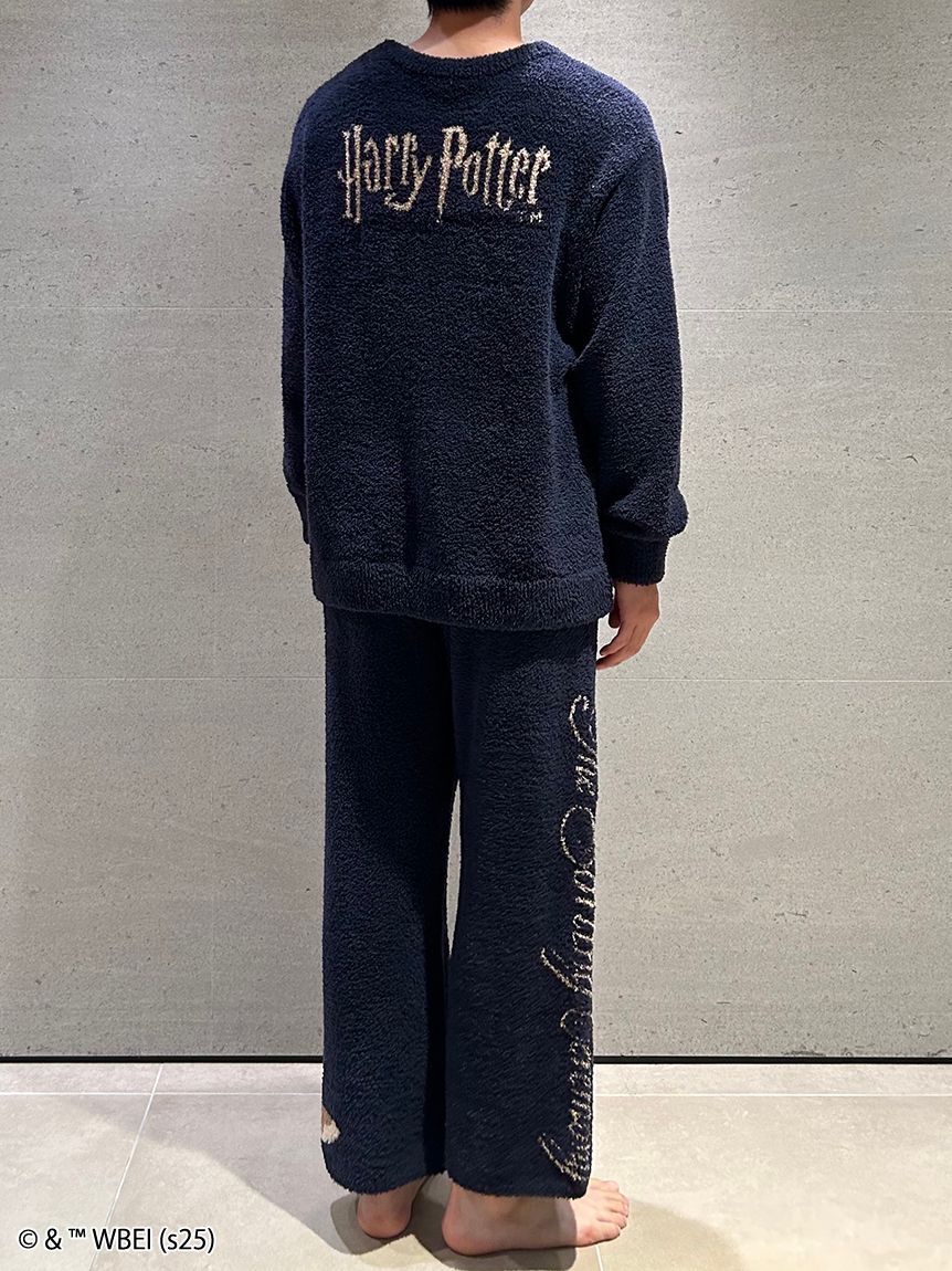 メンズ】【ハリー・ポッター】モチーフニットプルオーバー(トップス