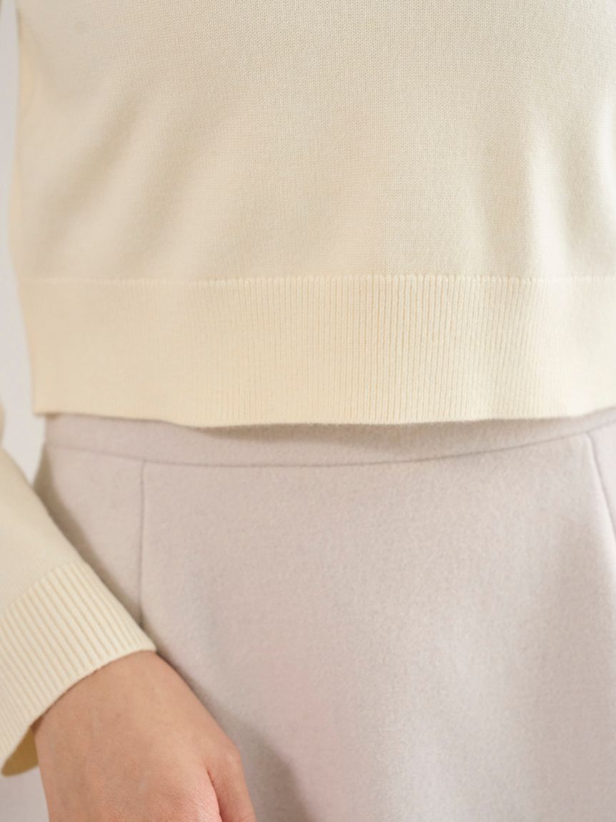 【値下げ】SNIDEL ミニブローチプルオーバー 2025年最新】ミニブローチプルオーバーの人気アイテム - メルカリ